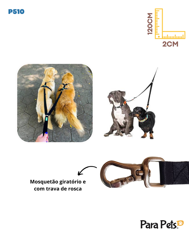 GUIA DE PASSEIO DUPLA