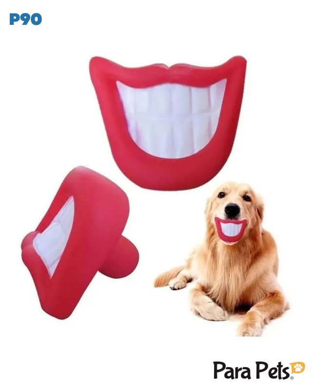 MORDEDOR PET SORRISO